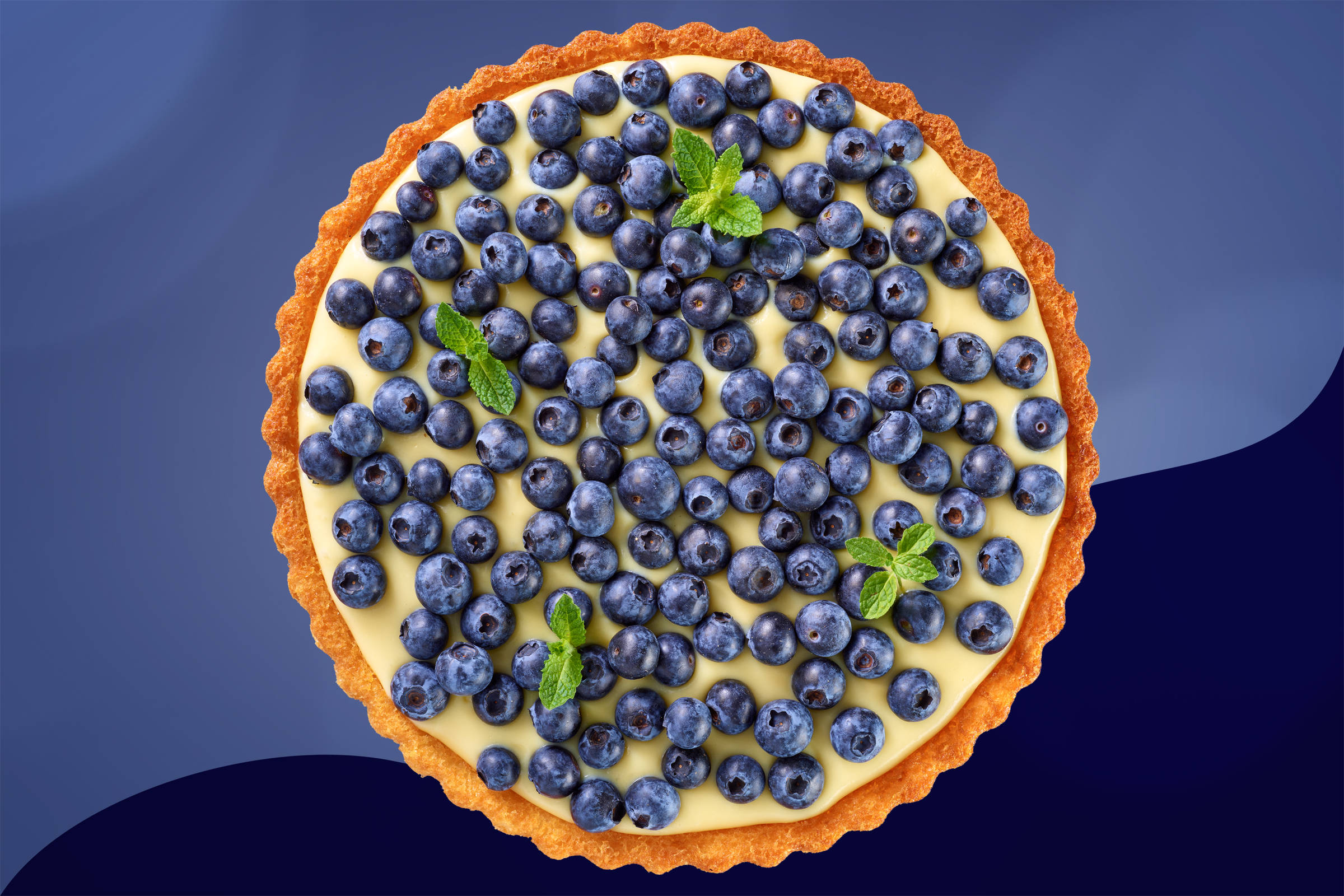 Blaubeertorte von oben fotografiert mit geschwungenem ruhigen Hintergrund in blau. Minzblätter betonen den frischen Look.